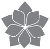 Generic 100 Christou